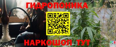 прущие грибы Берёзовский