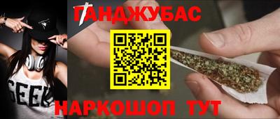 шишки Бийск