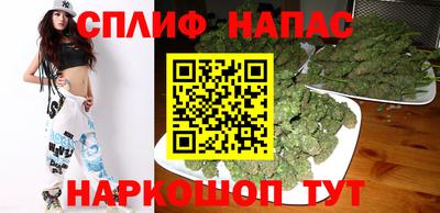 шишки Бийск