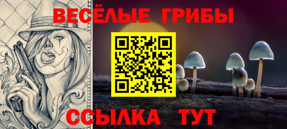 Галлюциногенные грибы Magic Shrooms Качканар